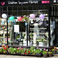 Dalton Square Florist 1074779 Image 0